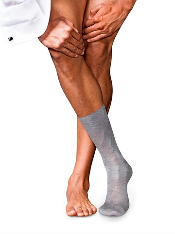 FALKE Socks 'No. 9 Pure Fil d´Écosse' in Grey: front