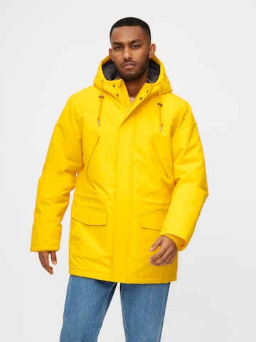 Derbe Winter Parka 'Festholm' in Yellow: front