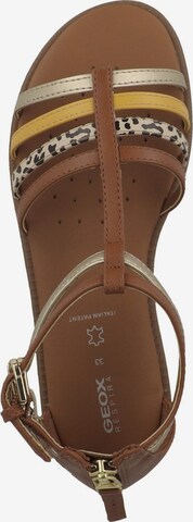 GEOX Sandalen 'Karly' in Bruin