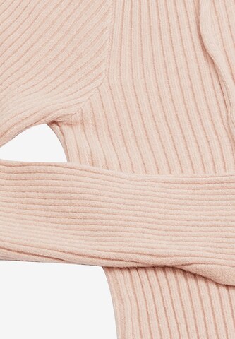 IPARO Pullover in Pink
