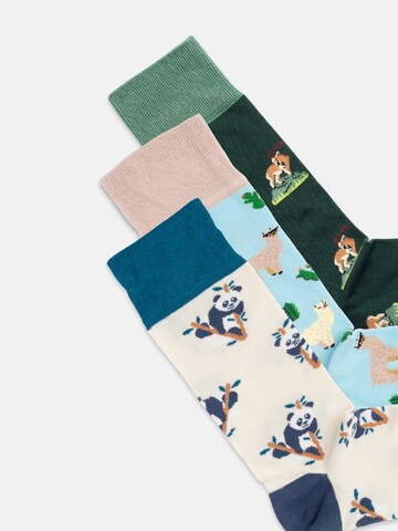 DillySocks Sokken 'Animal Adventures' in Gemengde kleuren