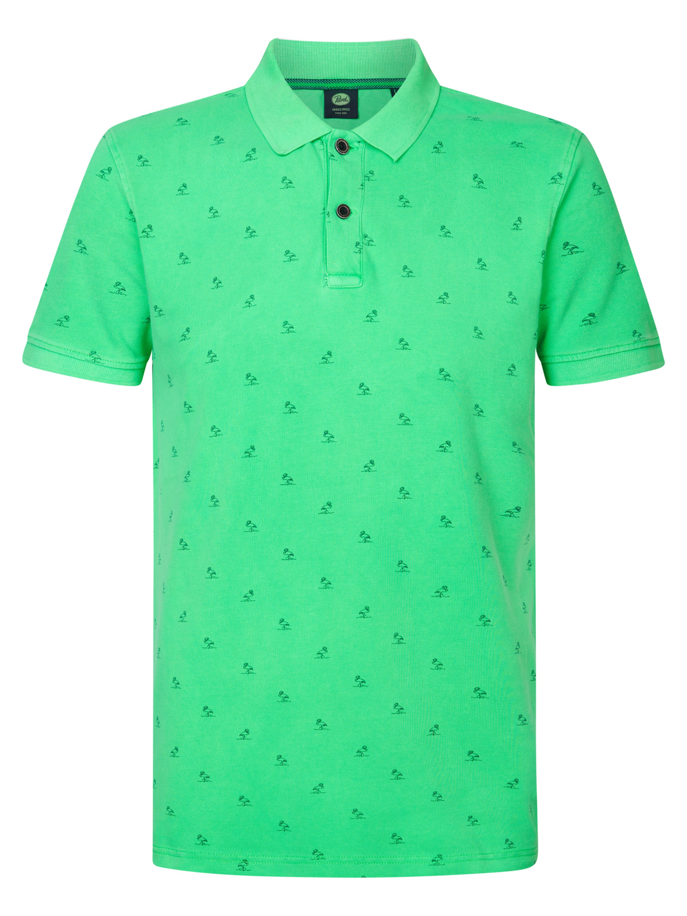 Petrol Industries Koszulka 'Breeze' w kolorze zielony: przód