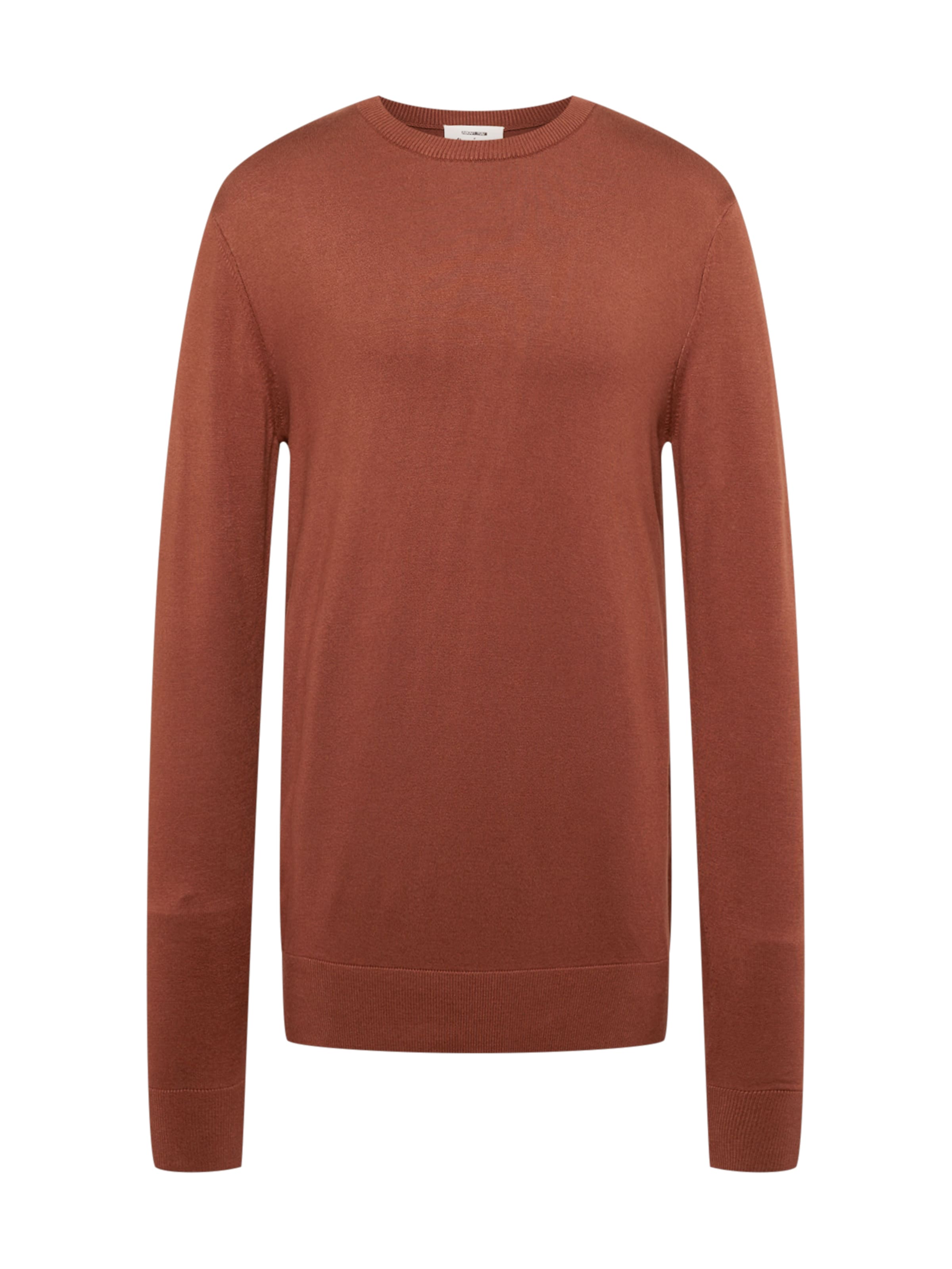 brūns ABOUT YOU x Alvaro Soler Džemperis &#x27;Ian&#x27;: no priekšpuses