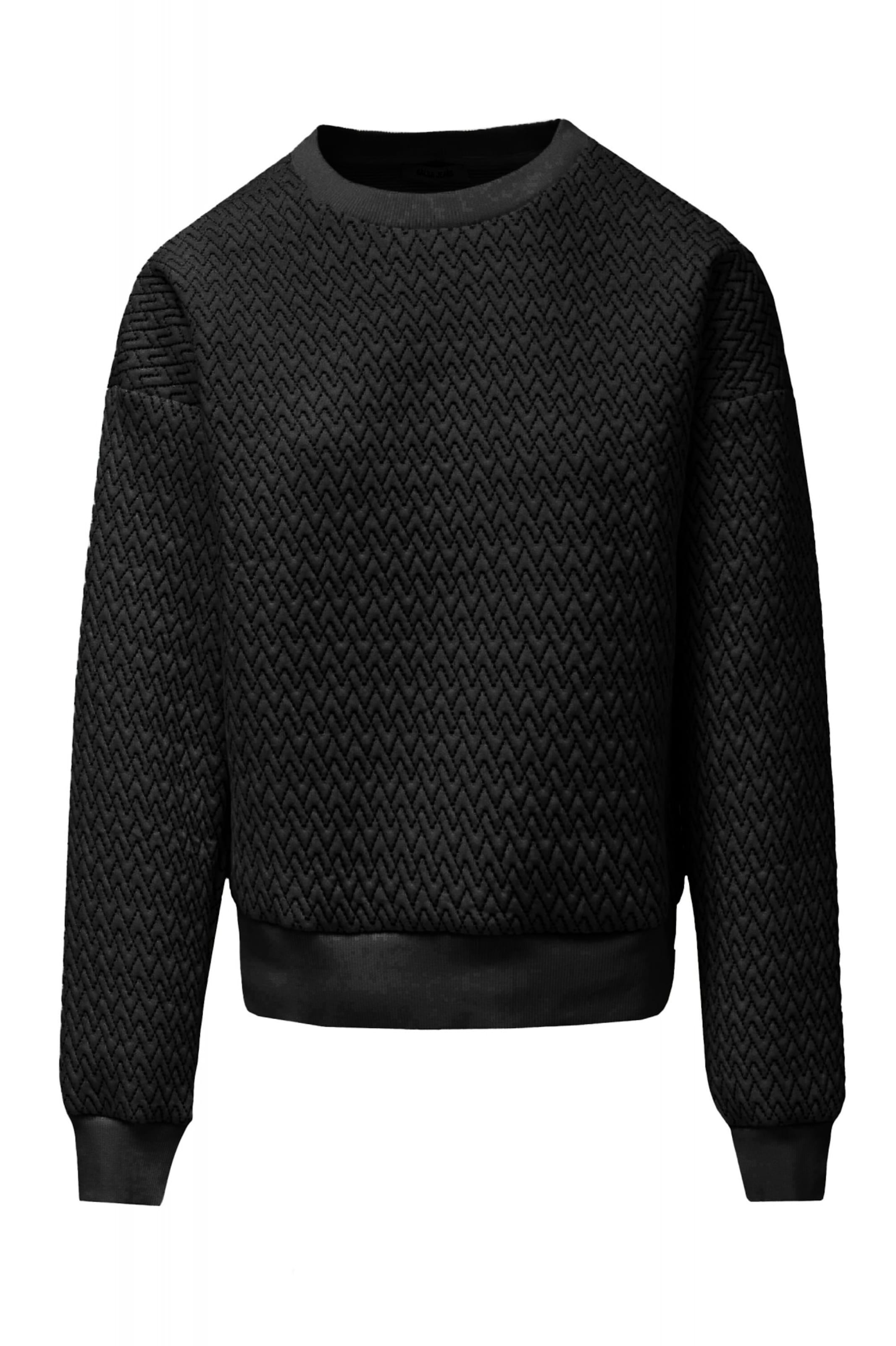 Salsa Jeans Sweatshirt in Black: front