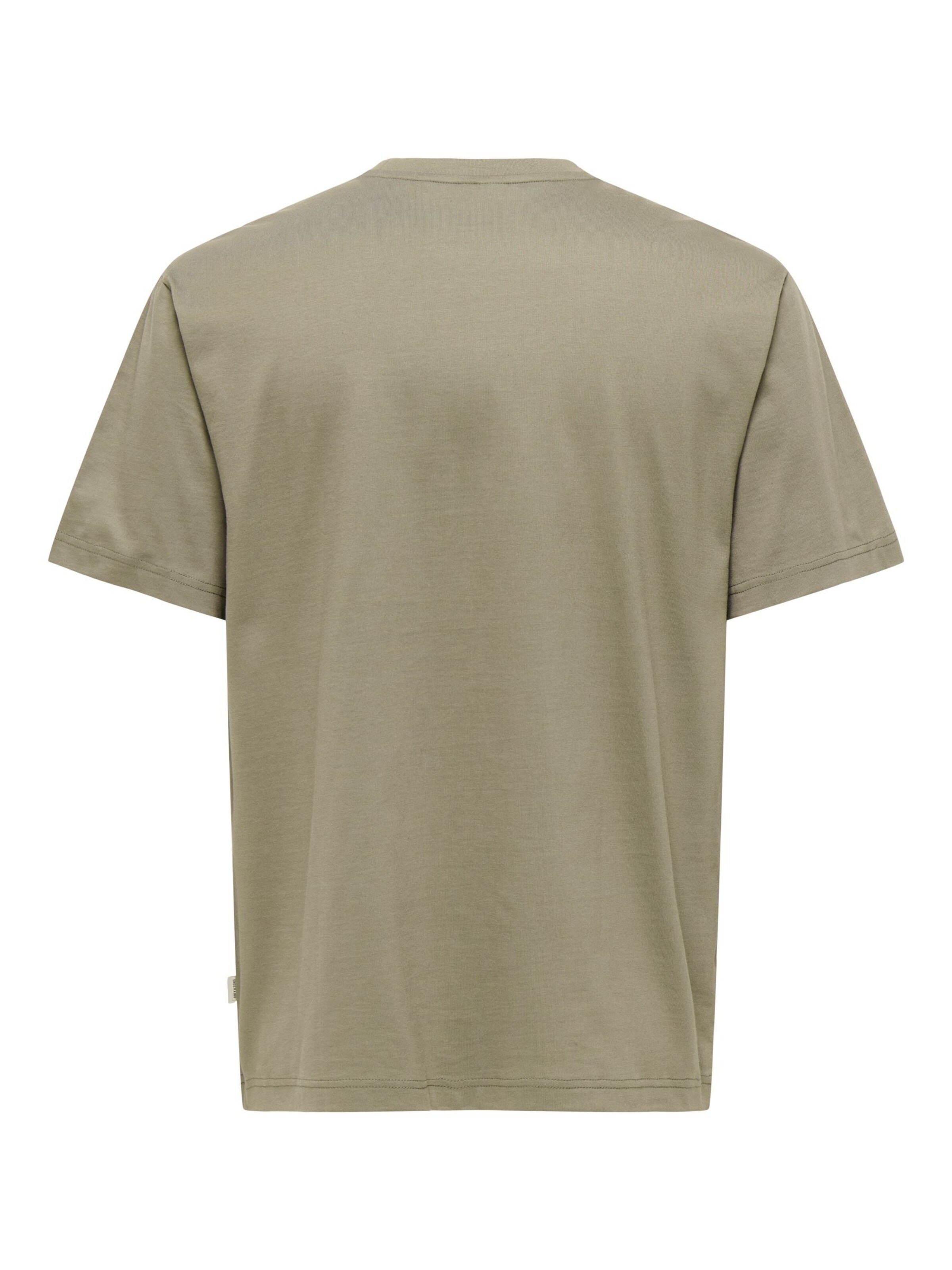 T-Shirt 'ONSFred' Only & Sons en gris