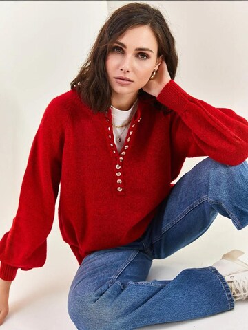 Bianco Lucci Pullover 'Pullover'‌‌‌‌‌‌ in Rot