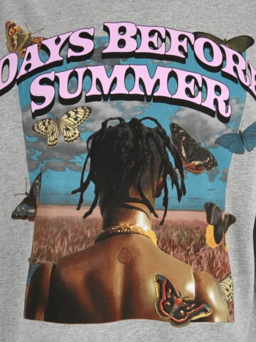MT Upscale Póló 'Days Before Summer' - szürke