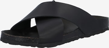 Bianco Mules 'BIACEDAAR' in Black: front