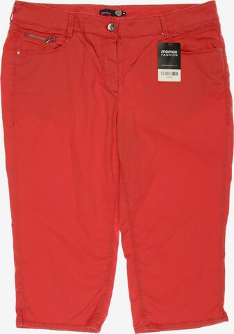 ATELIER GARDEUR Shorts in XXL in Red: front