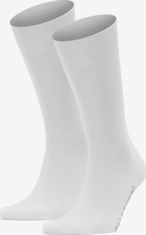 FALKE Socks in White: front