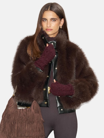 Veste d’hiver Lipsy en marron : devant