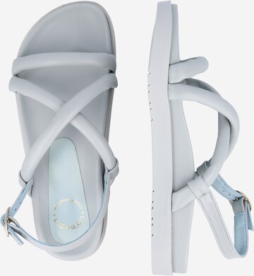 Ca'Shott Strap sandal in Blue