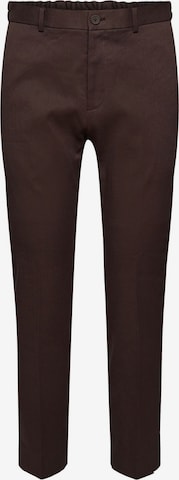 Esprit Collection Chino Pants in Brown: front