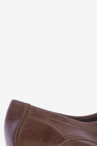 LLOYD Flats & Loafers in 43,5 in Brown