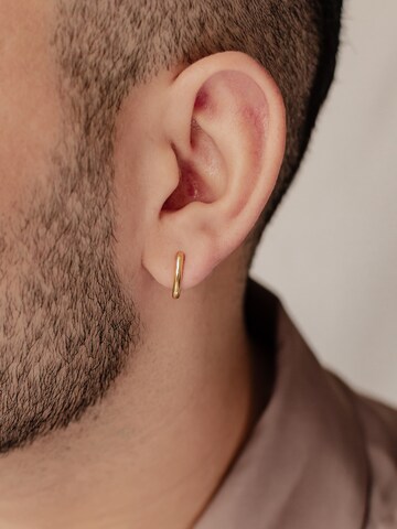 Hey Happiness Oorbel 'Oval Hoop' in Goud