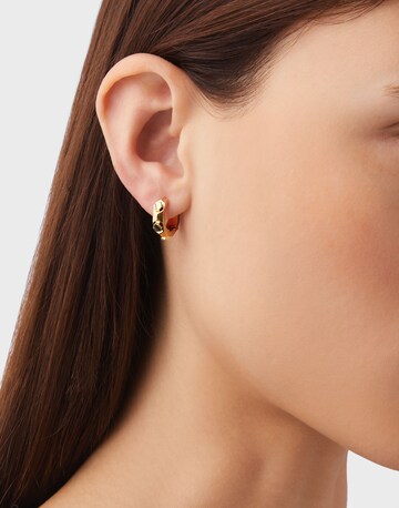 Boucles d'oreilles Philipp Plein Jewellery en or