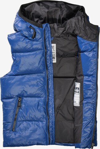 STACCATO Bodywarmer in Blauw