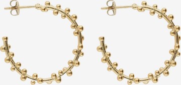 Boucles d'oreilles My Jewellery en or : devant