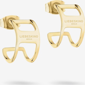 Liebeskind Berlin Earrings in Yellow: front