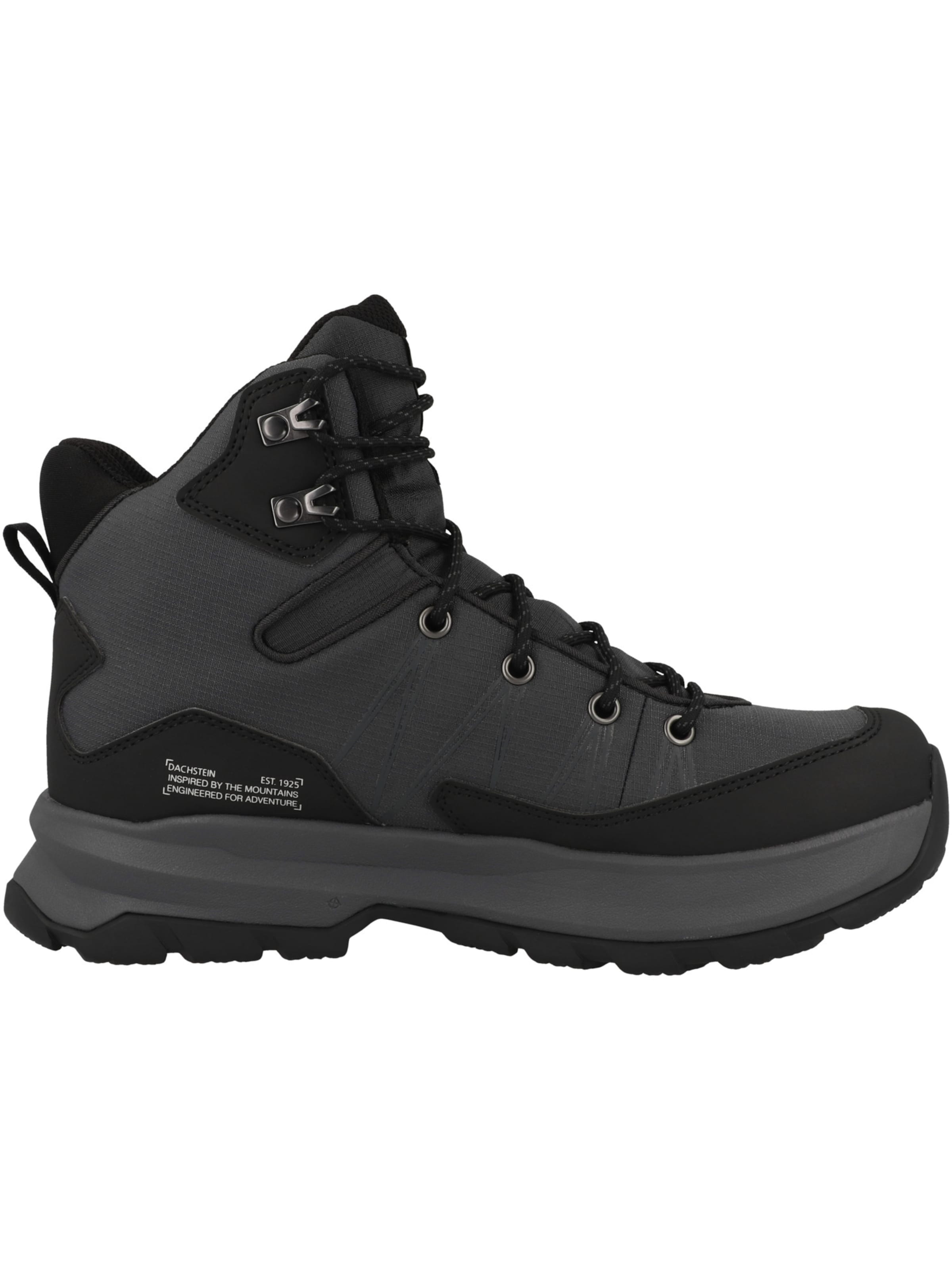 Scarpa bassa di Dachstein in nero