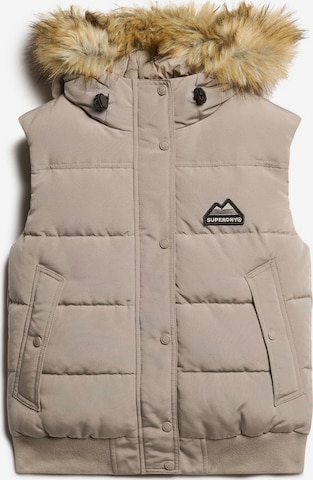 Superdry Bodywarmer in Beige: voorkant