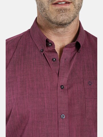 Charles Colby Comfort fit Button Up Shirt ' Duke Arls ' in Pink