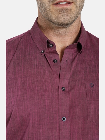 Charles Colby Comfort fit Button Up Shirt ' Duke Arls ' in Pink
