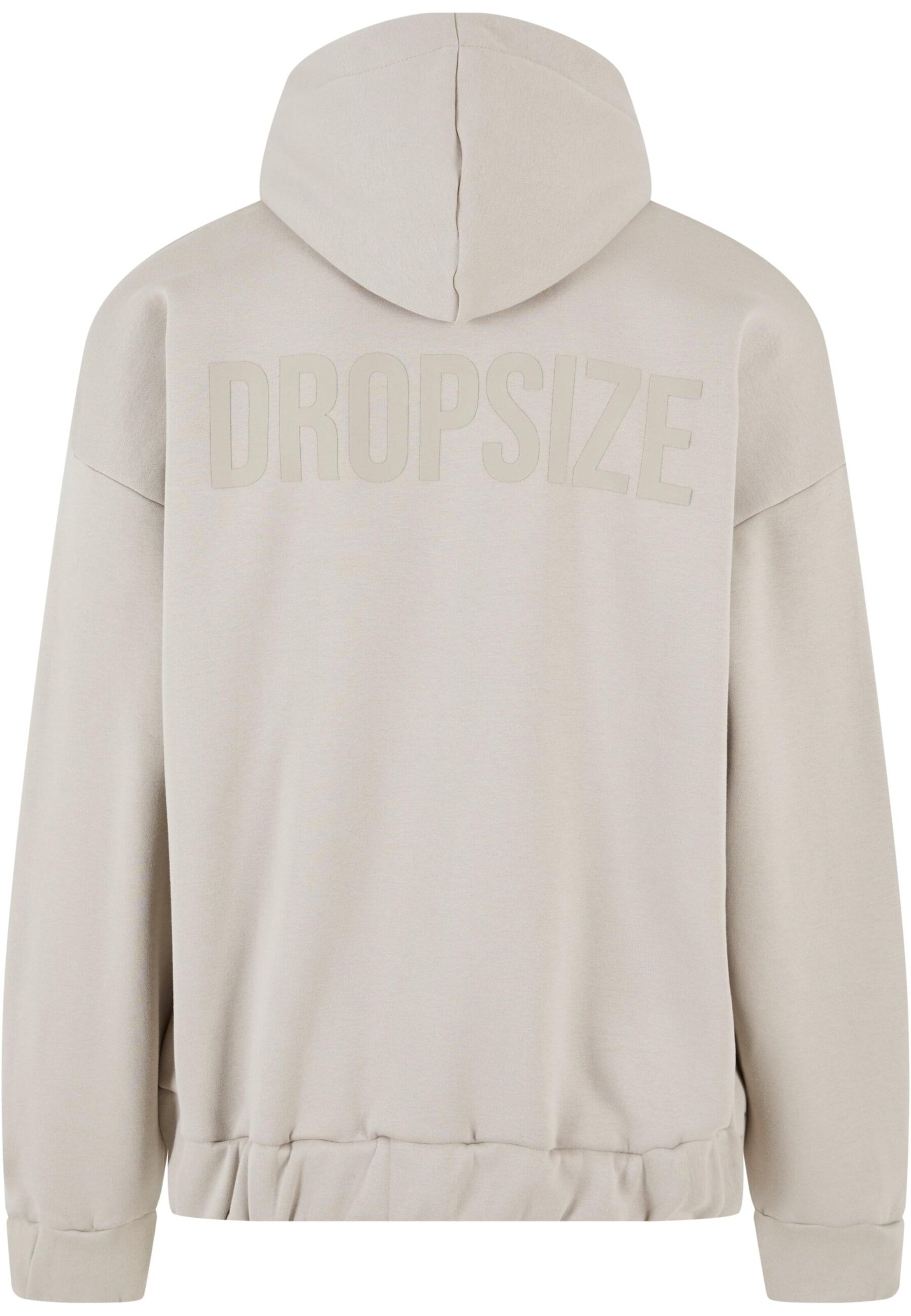 Dropsize Sweatjacke in Grau