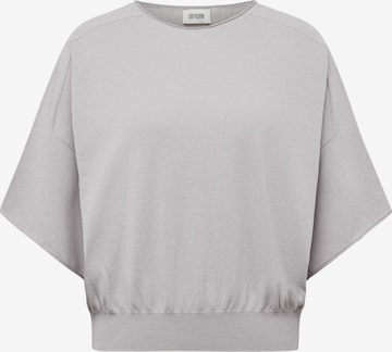 DRYKORN Shirt 'Dilary' in Grey: front