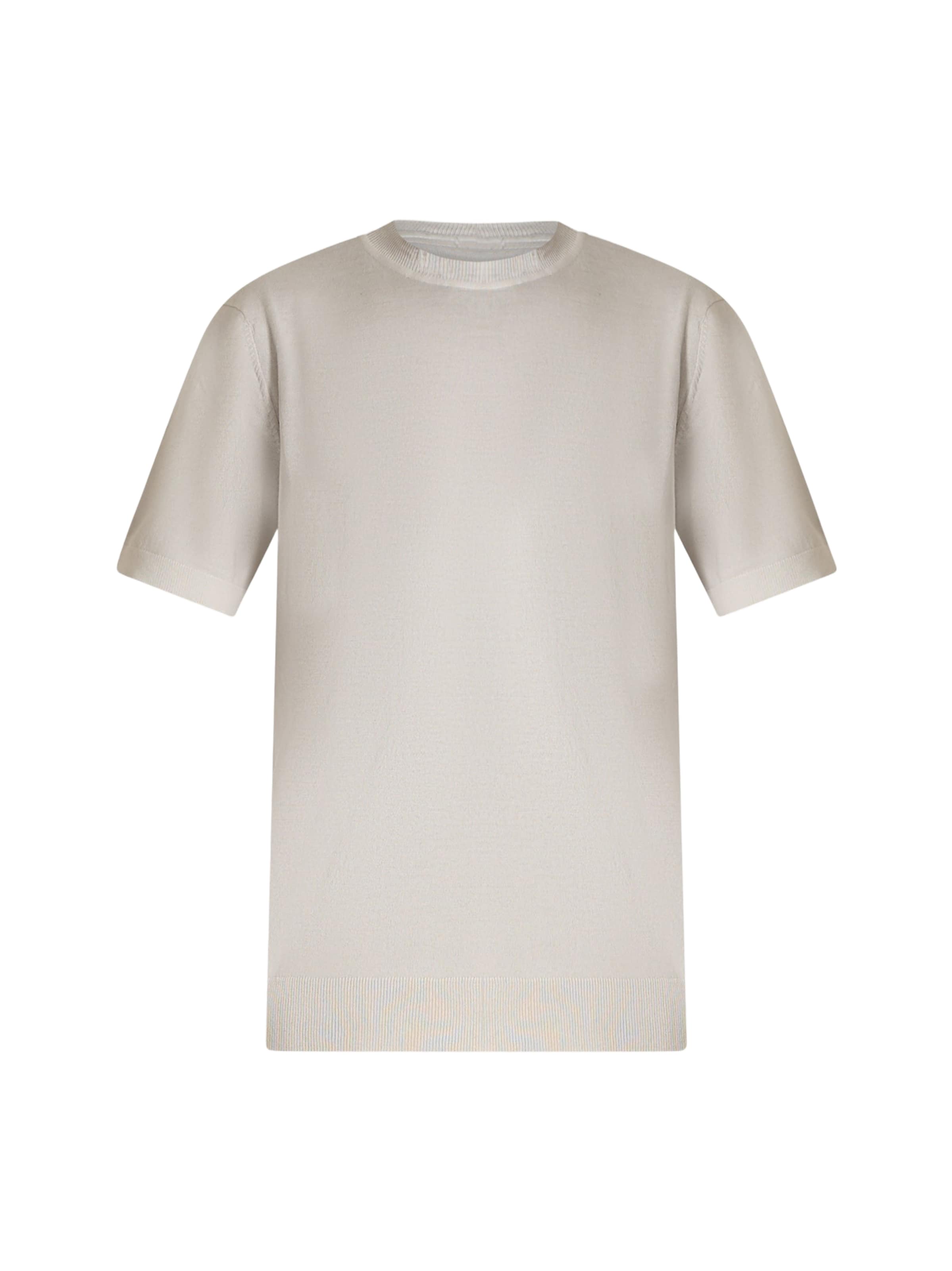 T-Shirt SSEINSE en gris : devant