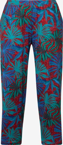 Regular Pantalon Ulla Popken en mélange de couleurs : devant