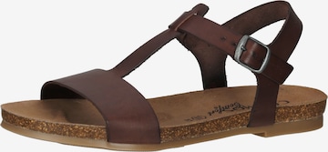 COSMOS COMFORT Strap Sandals in Brown: front