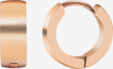 Akzent Earrings 'Gloie, langlebig' in Gold: front