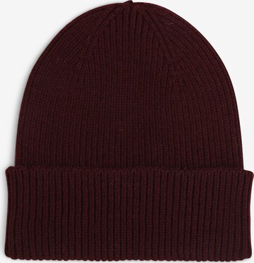 Colorful Standard Beanie in Purple: front
