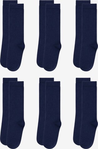 Albero Natur Socks 'Bio-Baumwoll-Kinderkniestrümpfe – 6er Pack' in Blue: front