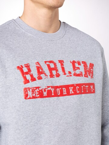 SOUTHPOLE Collegepaita 'Harlem' värissä harmaa