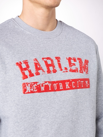 SOUTHPOLE Sweatshirt 'Harlem' in Grau
