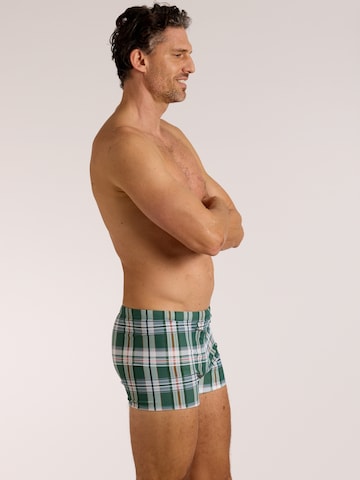 wavebreaker Swim Trunks in Green