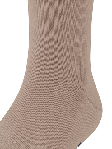 FALKE Socks 'Family' in Beige