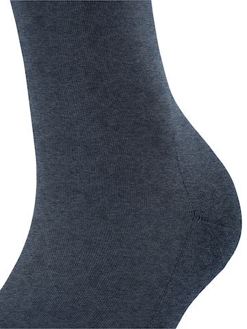FALKE Knee High Socks 'ClimaWool' in Blue