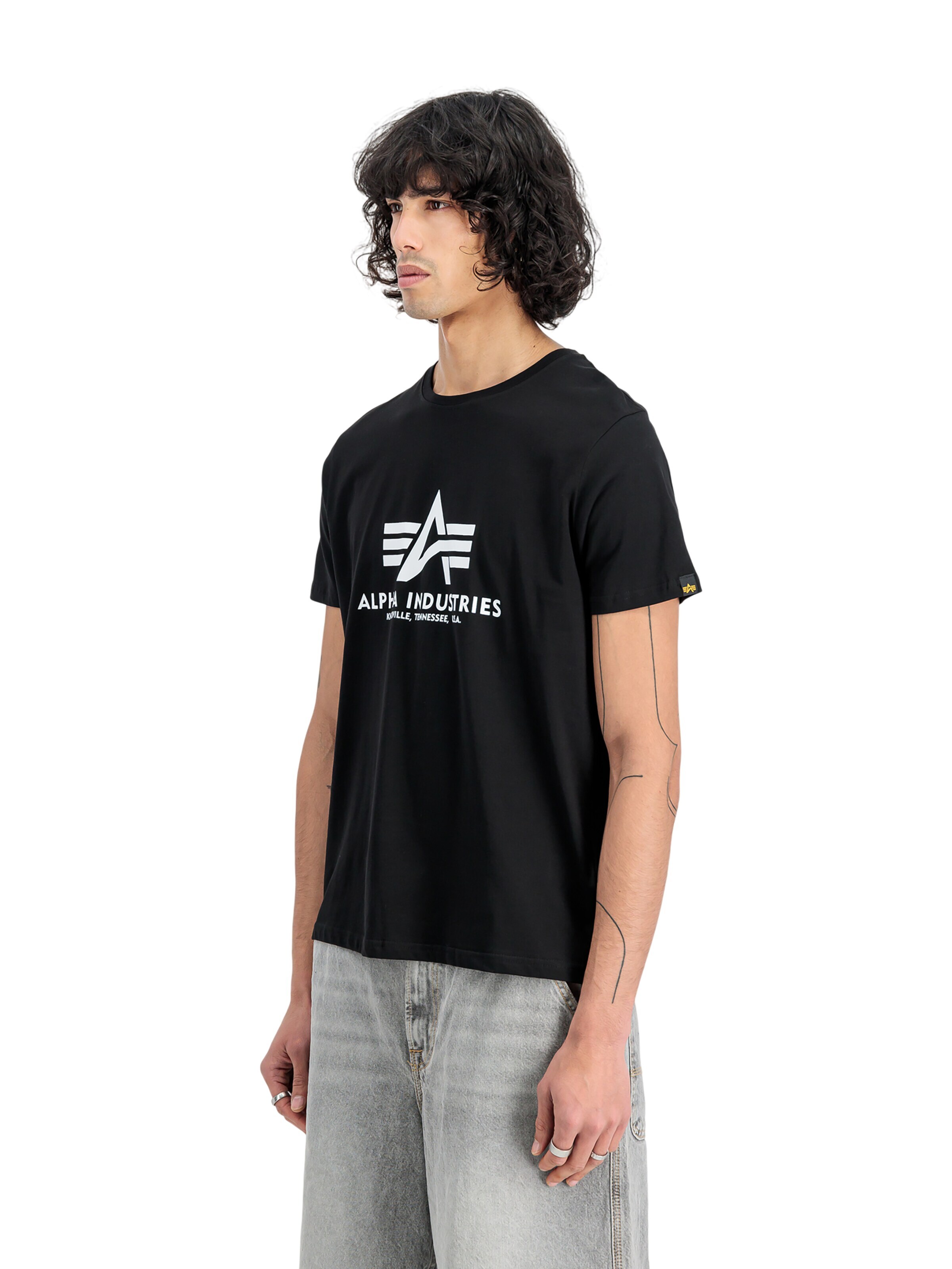 ALPHA INDUSTRIES Shirt 'Basic 2 Pack'‌‌‌‌ in Mischfarben