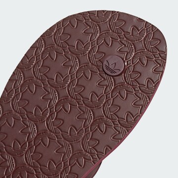 Tongs 'Adi Sun' ADIDAS ORIGINALS en rouge