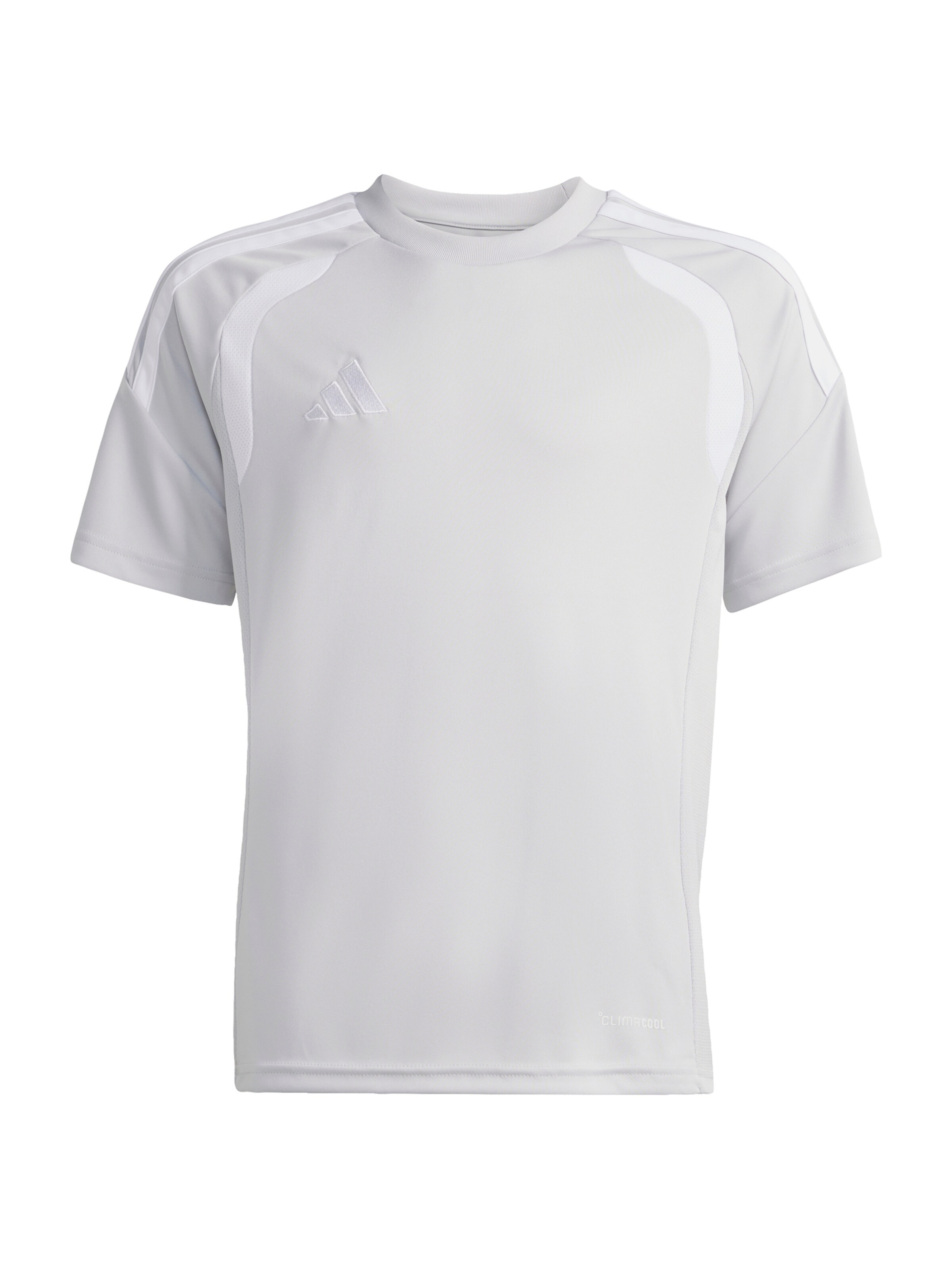 ADIDAS PERFORMANCE Performance Shirt 'Tiro26 League' in Grey: front
