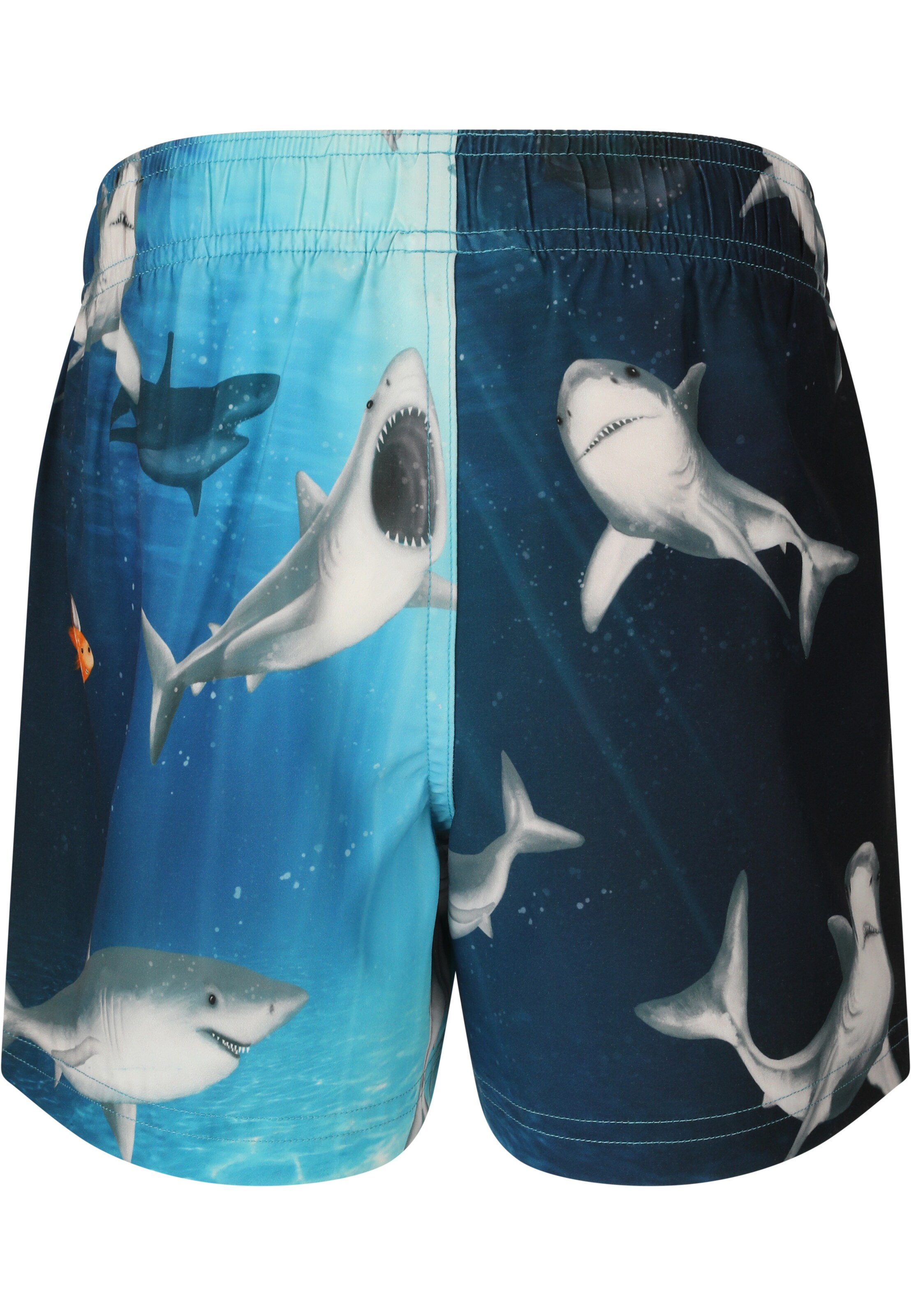 ZigZag Swimming shorts 'Sealife' in Blue