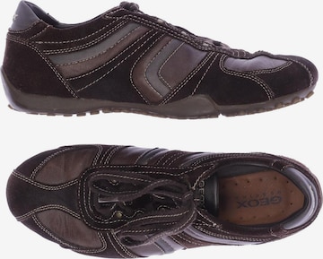 GEOX Sneakers & Trainers in 40 in Brown: front