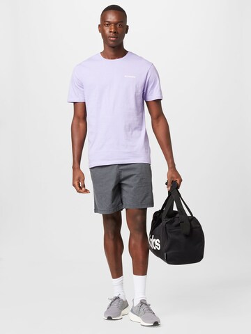 QUIKSILVER Regular Sportshorts 'TAXER' in Schwarz