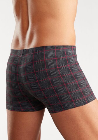 H.I.S Boxer shorts in Blue