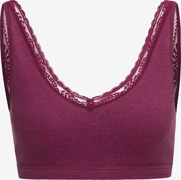 s.Oliver Bustier BH in Lila: voorkant
