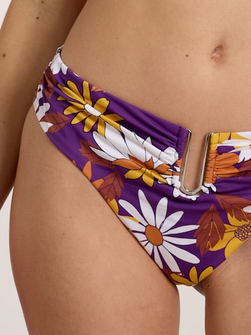 OLYMPIA Bikinibroek 'Mix&Match' in Lila