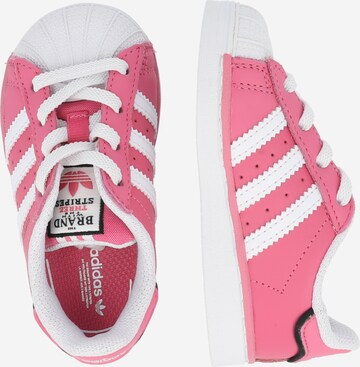 Baskets 'SUPERSTAR' ADIDAS ORIGINALS en rose